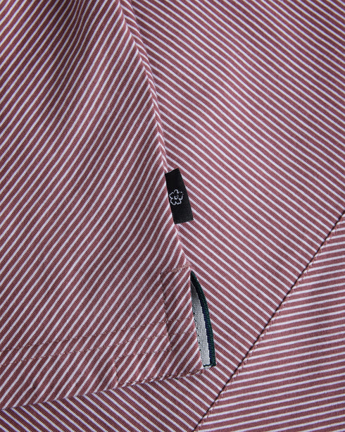 TAIGAA-Tops-Not your average polo shirt, TAIGAA kicks things up a notch with its all over striped print and solid trims. Perfect for casual Fridays and city exploring, this shirt teams brilliantly with anything from denim to chinos and beyond.By choosing Ted Baker cotton products, you're supporting our investment in the Better Cotton Initiative's mission. This product is sourced via a system of mass balance and therefore may not contain Better Cotton. Polo shirt 100% cotton Stripe print Regular fit Short sl